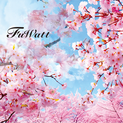 Sakura Road Of Memories