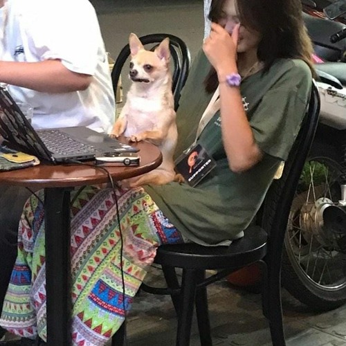 9xacly - 1000 Điều Ước