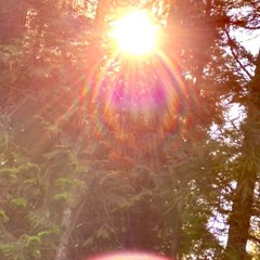 Darkside of the sun