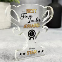 Der beste Teamleiter der Welt