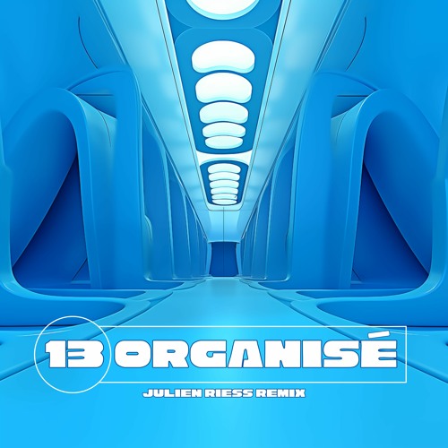 Stream 13 Organisé Bande Organisée (Julien Riess Remix) by Julien