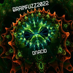 Brainfuzz2022