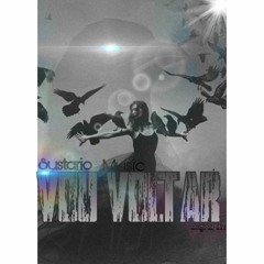 Sustario Music - Vou Voltar (Original Mix)