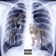 Dawg
