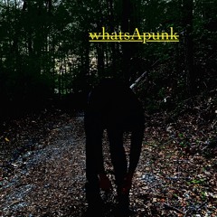 WhatsAPunk