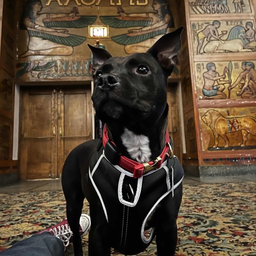 238. LIFERS - Road Report #26: One Battle After Another