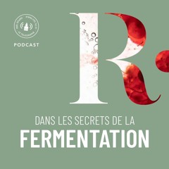 Dans les secrets de la fermentation
