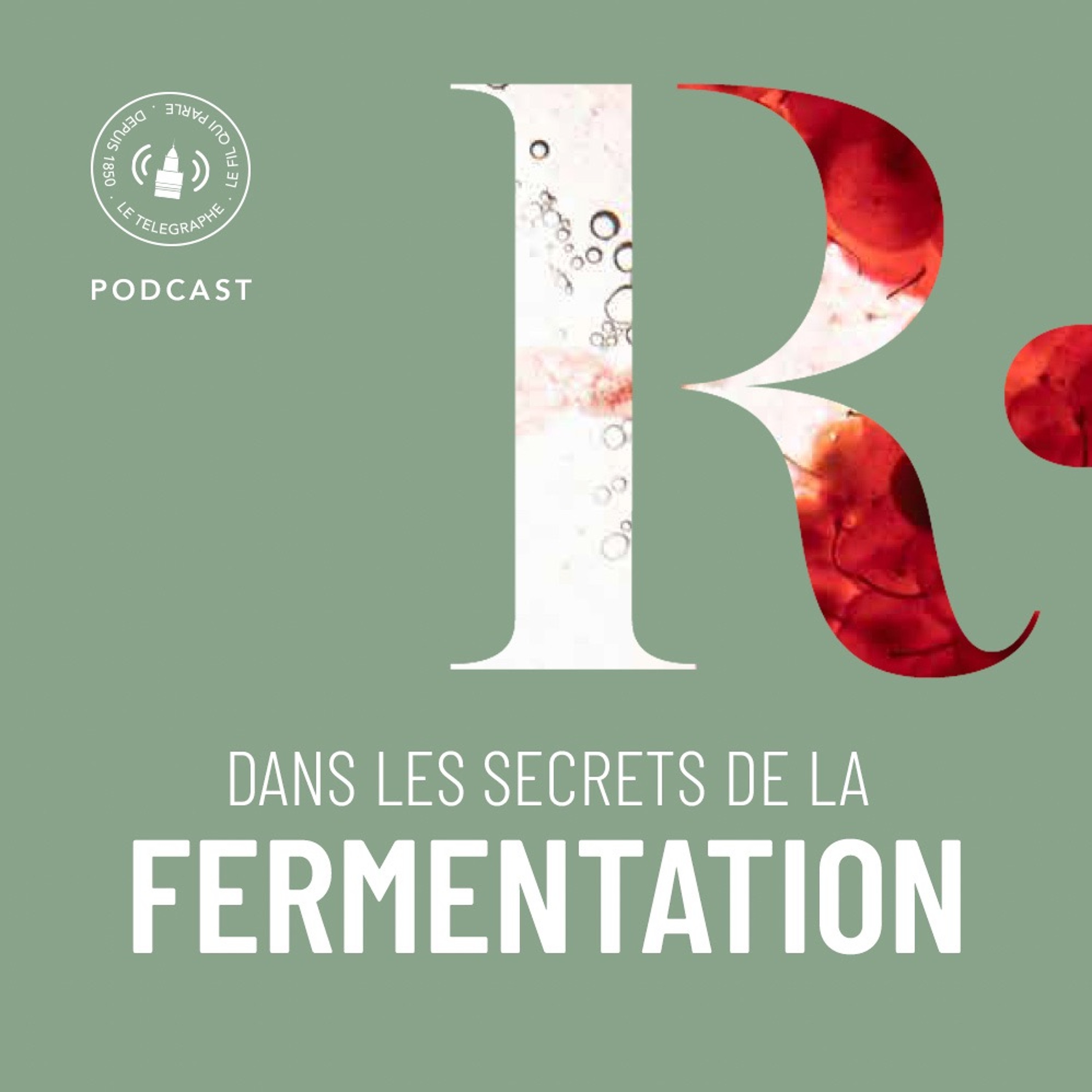 Le fil qui parle
