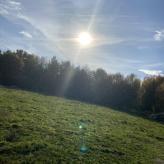 Feel The Sun
