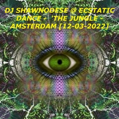 DJ Shawnodese @ Ecstatic Dance - Amsterdam - Holland [13-10-2021]