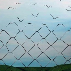 Frontram "Coachella" - 2023 (intro)