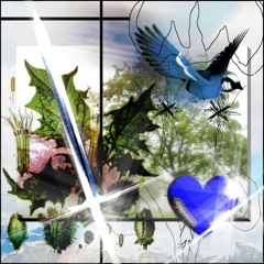 Blue Bird's Rebirth (Please Ascent)