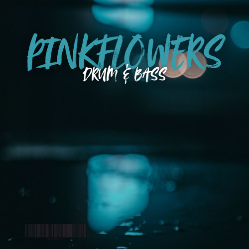 PINKFLOWERS - Drum & Bass Instrumental DJ (9)
