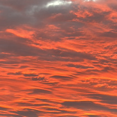 Floyd Mix - Voices in My Room x Love U