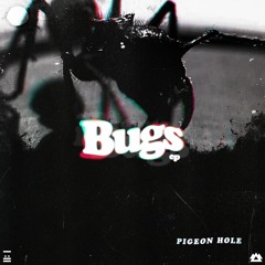 Pigeon Hole - BUGS