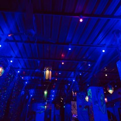 i dreamt of acid during an orchestra