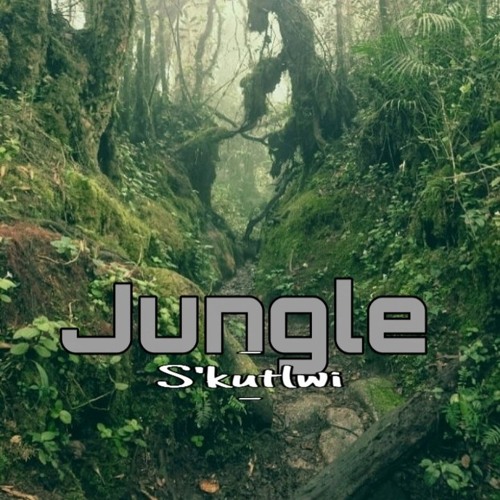 Stream Jungle.mp3 by S'kutlwi | Listen online for free on SoundCloud