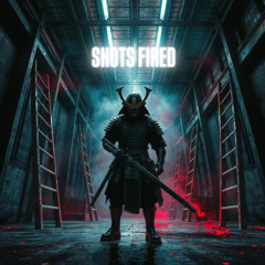 SHOTS FIRED (FREE DL)