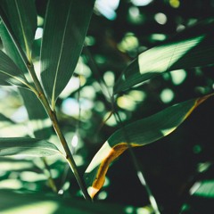 undertheafricansun 010(Luke Taylor)