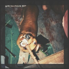 PREMIERE: Sebastian Wasner - Heut geht alles (Original Mix)