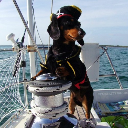 🚣‍♀️🚣‍♀️🚣‍♀️Orinoco Flo - Sail Awayayayayayayayayayay 🚣‍♀️🚣‍♀️🚣‍♀️