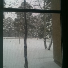 The Crowds Scare Me Sometimes