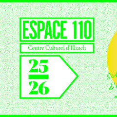 Radio 110FUSION - Les écrans et leurs utilisations - Juillet 2025