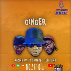 ROZINO JAY feat. LTO KING & XAMOPEE - GINGER ME