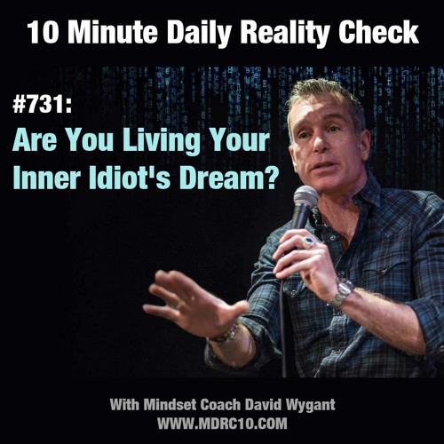 Are You Living Your Inner Idiot's Dream?
