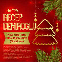 Recep DEMIROGLU - New Year Party 2023 To 2024 #12 (Christmas)