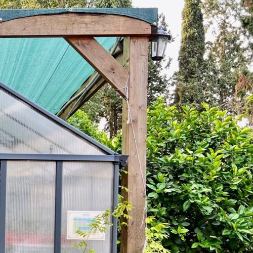 Im a butterfly studio version