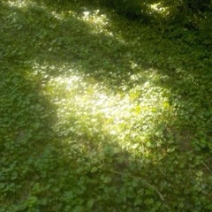 Grace (prod.Omamurin)