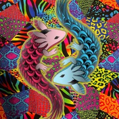 Afro House/Melodic House/Melodic Techno/Trance/Electronica PT. 2