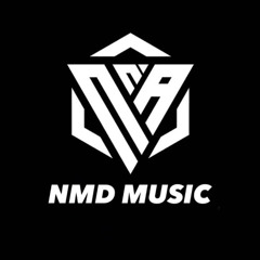 NST HOẢ LÒ Remix (Thái Hoàng Musicc)  Nguyễn Mạnh /Duy/