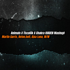 Martin Garrix, Beton.hofi, W&W - Animals X Tiszalök X Chakra (HADEN Mashup)  FREE DL IN DESCRIPTION