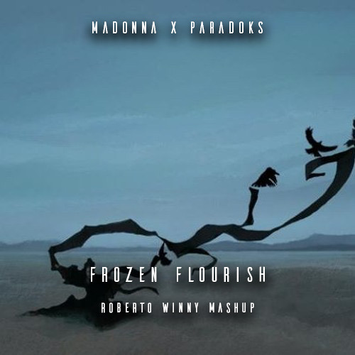 013 MADONNA x PARADOKS - FROZEN X FLOURISH (Roberto Winny MASHUP)