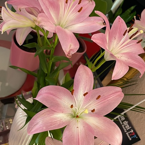 Techno Set⛓️🖤