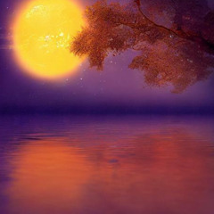 Afloat