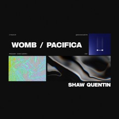 Womb (Original Mix)