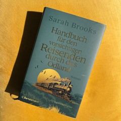 115: "Handbuch für den vorsichtigen Reisenden durch das Ödland" von Sarah Brooks