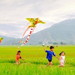VIỆT NAM(Mai Khôi)