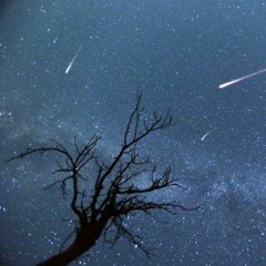 Make A Wish