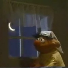 I Don't Want To Live On The Moon (Sesame Street Cover)