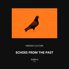Hidden Culture - Echoes From the Past [Bullfinch]