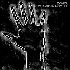 New Scars In New Life