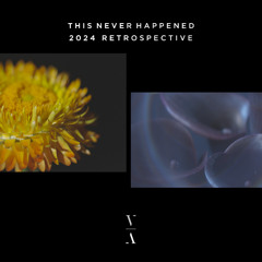 This Never Happened: 2024 Retrospective