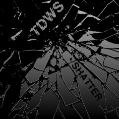 TDWS - SHATTER - TRONIK YOUTH EDIT