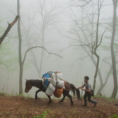 سروش رضایی