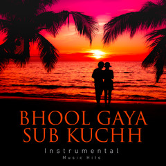 Instrumental