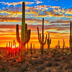 Vuela Con El Viento.MP3